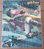 Harry Potter Zwerkbal poster, Ophalen of Verzenden, Boek of Poster