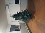 Kerstboom 190 x130, Ophalen, Zo goed als nieuw
