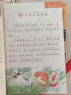 Chinese Les voor kind en volwassen