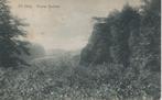 De Steeg, Groene Bedstee, Verzamelen, Ansichtkaarten | Nederland, Verzenden, Voor 1920, Gelopen, Gelderland