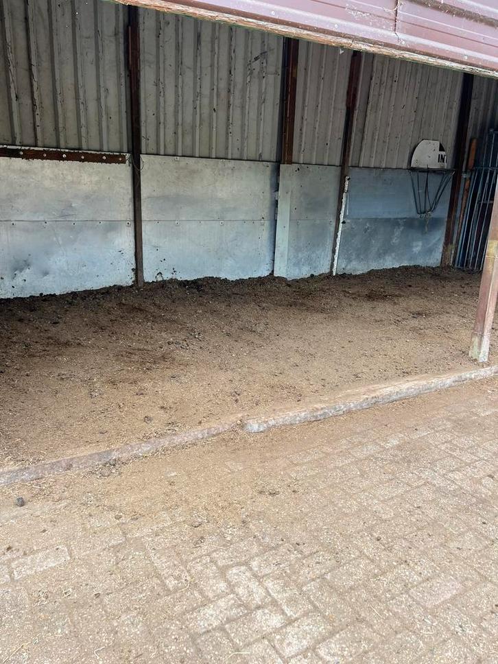Pensionstalling weidegang buitenstalling, Dieren en Toebehoren, Stalling en Weidegang, Stalling, Weidegang, Toebehoren, 4 paarden of pony's of meer