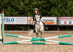 Lieve kinderpony, Dieren en Toebehoren, Pony's, B, Gechipt, Ruin, A pony (tot 1.17m)