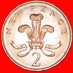 Ⰿ OSTRICH FEATHERS: GREAT BRITAIN 2 NEW PENCE 1981!, Ophalen of Verzenden, Overige landen, Losse munt