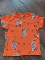 Koningsdag t-shirt maat 62, Gebruikt, Jongetje of Meisje, Ophalen of Verzenden, Hema