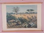 Schoolkaart: Aan de rand van de Kalahari, Ophalen, Natuur en Biologie
