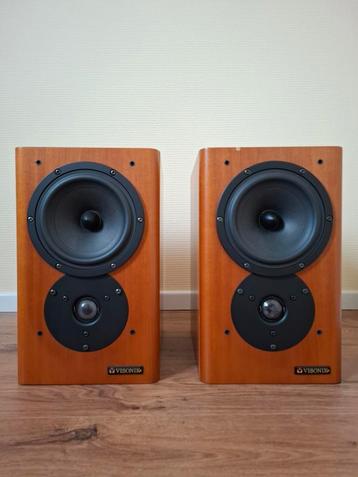 visonik evolution 3 monitor speakers beschikbaar voor biedingen