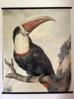 Grote canvas poster Toekan vogel met lijst (1.70 x 1.40), Ophalen, Zo goed als nieuw