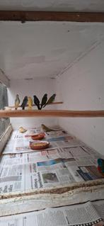 te koop splendids, Tickets en Kaartjes, Eén persoon, Ticket of Toegangskaart