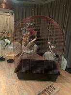 Complete vogelkooi koperkleur, Dieren en Toebehoren, Ophalen, Zo goed als nieuw, Metaal, Vogelkooi