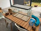 Hamster kooi terrarium verblijf met accessoires, Dieren en Toebehoren, Knaagdieren en Konijnen | Toebehoren, Ophalen, Gebruikt