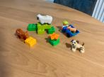 Duplo - 4972 boerderijdieren - compleet set, Ophalen, Gebruikt, Duplo
