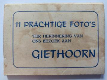 L33 Gierhoorn 11,5x Logtmeier beschikbaar voor biedingen