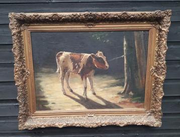 prachtig schilderij van een kalfje beschikbaar voor biedingen