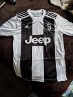 Voetbal shirt Juventus, Sport en Fitness, Voetbal, Shirt, Ophalen of Verzenden, Zo goed als nieuw