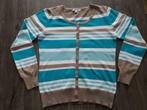 Gestreept Dames Vest, Overige kleuren, Fashion, Maat 42/44 (L), Ophalen of Verzenden
