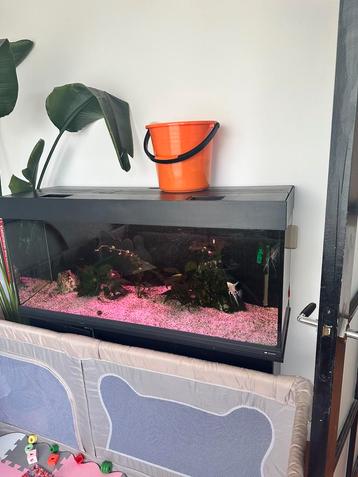 Aquarium 250 liter beschikbaar voor biedingen