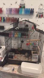 2 agapornis met kooi, Dieren en Toebehoren, Ophalen of Verzenden, Zo goed als nieuw, Kooi, Minder dan 60 cm