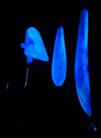 125 en 150 grams klassieke viskop loodkoppen, Watersport en Boten, Ophalen of Verzenden, Nieuw, Dobber of Lood