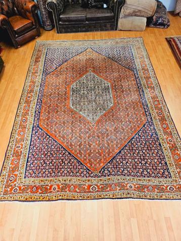 Perzisch Handgeknoopt Bidjar Tapijt. 257 x 354! Heel Uniek! beschikbaar voor biedingen