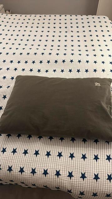 Nash Carp Pillow beschikbaar voor biedingen