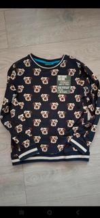 B chill sweater mt 140/146, Kinderen en Baby's, Kinderkleding | Maat 140, Ophalen of Verzenden, Zo goed als nieuw, Jongen, B chill