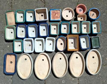 29 Bonsai potjes klein + 3 schoteltjes beschikbaar voor biedingen