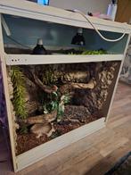 Terrarium 100cm x 100cm, Dieren en Toebehoren, Reptielen en Amfibieën | Toebehoren, Ophalen