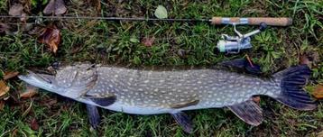 Ultra Light Dragon Tail Baars-Snoekstreamertjes van 11/12 cm beschikbaar voor biedingen
