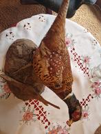 Fazant, Ophalen of Verzenden