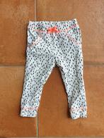 Legging maat 86 Hema, Kinderen en Baby's, Babykleding | Maat 86, Meisje, Gebruikt, Ophalen of Verzenden, Hema