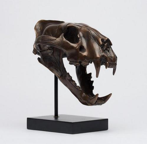 Bronzen Schedel Tijgerschedel, Antiek en Kunst, Kunst | Beelden en Houtsnijwerken, Ophalen of Verzenden