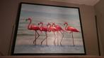 FLAMINGO SCHILDERIJ VAN COCO MAISON, Ophalen, Zo goed als nieuw, Schilderij, 100 tot 125 cm