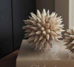 Schelpeb bol (groot), Huis en Inrichting, Woonaccessoires | Kransen, Ophalen of Verzenden, Nieuw