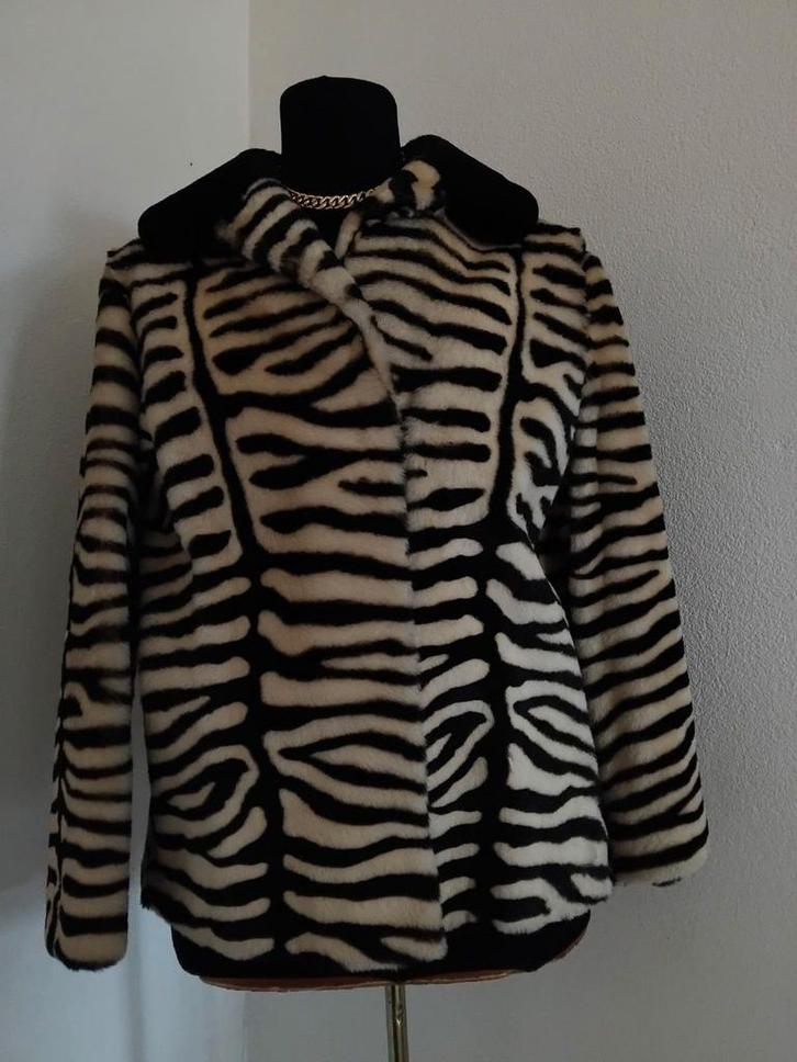 Echte Zebra Bontjas - Antiek S/M, Kleding | Dames, Jassen | Winter, Zo goed als nieuw, Maat 36 (S), Zwart, Ophalen of Verzenden