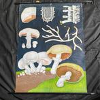 Schoolplaat Wiesenchampignon – Jung Koch Quentell, Antiek en Kunst, Antiek | Schoolplaten, Ophalen of Verzenden, Natuur en Biologie