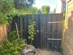 Schuttingdeel met tuinpoort hout incl beslag en palen, Ophalen, Gebruikt, 150 tot 200 cm, Hout