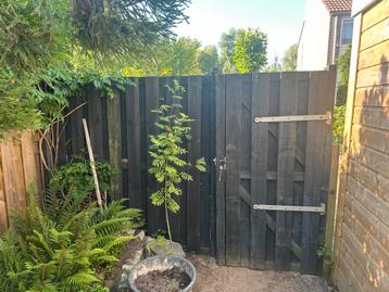 Schuttingdeel met tuinpoort hout incl beslag en palen beschikbaar voor biedingen