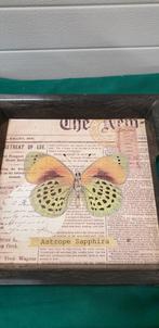 -	Dienblad astrope sapphira, Ophalen of Verzenden, 'T Olde Gre-j, Info@toldegrej.nl, Endepoelstraat 20f Didam