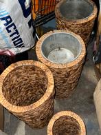 Gratis Hoge Bloempotten, Ophalen, Gebruikt, Mand, Rond