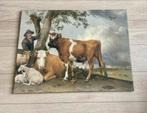 De Stier Paulus Potter canvas print schilderij houten frame, 75 tot 100 cm, Print, Gebruikt, 50 tot 75 cm
