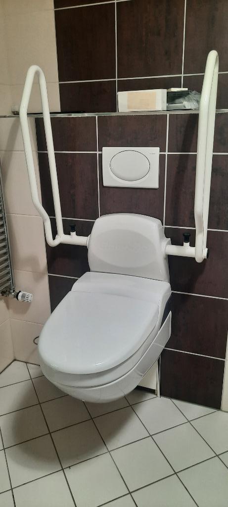 Wc met douchefunctie Gerberit, Doe-het-zelf en Verbouw, Sanitair, Gebruikt, Toilet, Steen, Ophalen