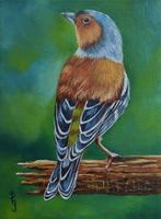 Schilderij vink 154 - boekvink vogels - origineel cadeau, Ophalen of Verzenden