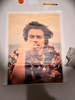 Harry styles poster!, Ophalen of Verzenden