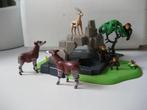 playmobil rots met boom-chimpansees-okapi-gazelle, Ophalen of Verzenden, Zo goed als nieuw