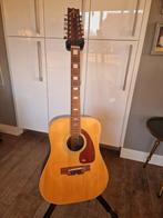 12-snarige Takeharu gitaar, Ophalen, Gebruikt, Western- of Steelstringgitaar