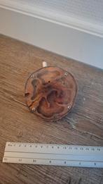 Mooi fruithouten mierennestje. Een kunstwerk opzich., Dieren en Toebehoren, Mieren