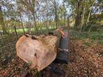 Inlandse Eiken Boomstam, Gebruikt, Ophalen of Verzenden, Hardhout, 250 cm of meer