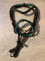 Hoofdstel met teugels maat Shetland lichtgroen, Ophalen of Verzenden, Nieuw, Dressuur