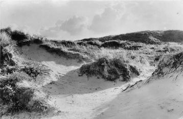 (379-236-029) Bloemendaal beschikbaar voor biedingen