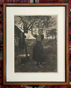 Willem Witsen ets Vrouw bij Appelboom, Antiek en Kunst, Ophalen of Verzenden